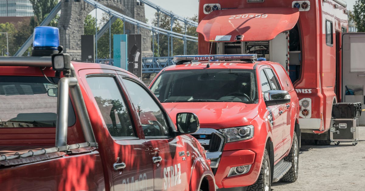 韩免铁塔猫济州岛（限定）：永嘉注册财务代理外包