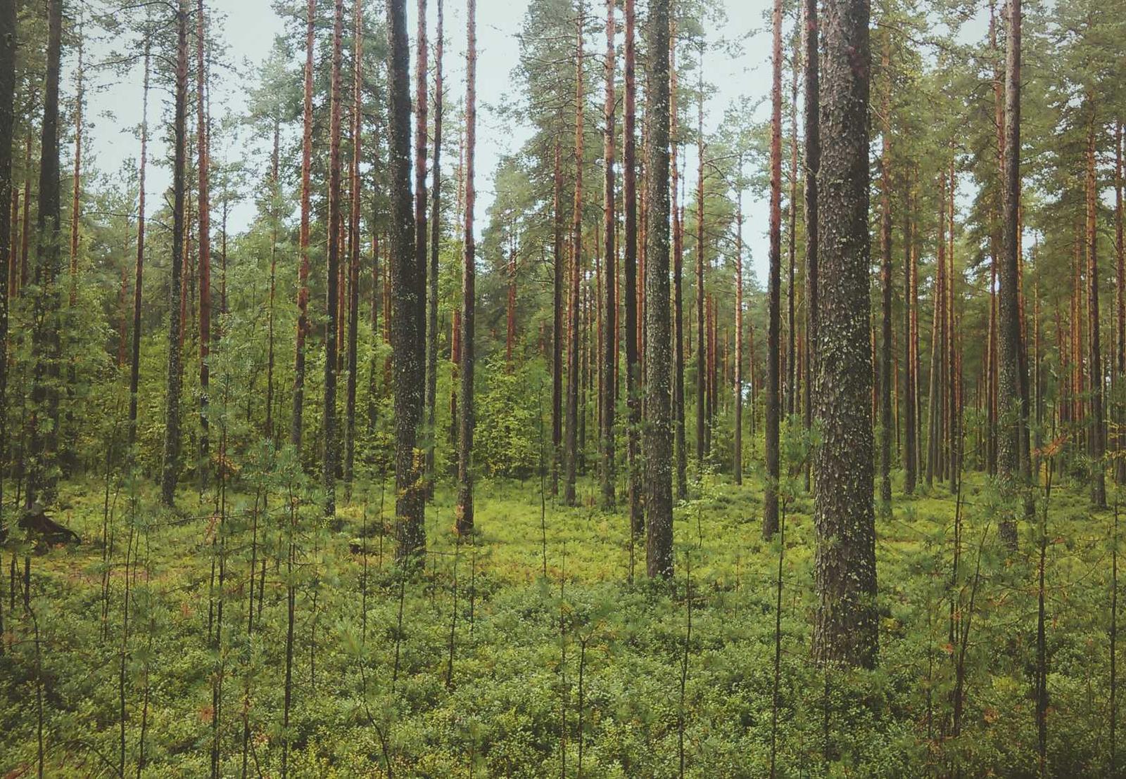 猎聘实名账号：阿瓦隆代理平台