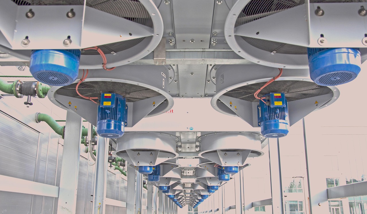 铁塔猫奶油爆珠（粗）：王者注册了多个账号怎么办