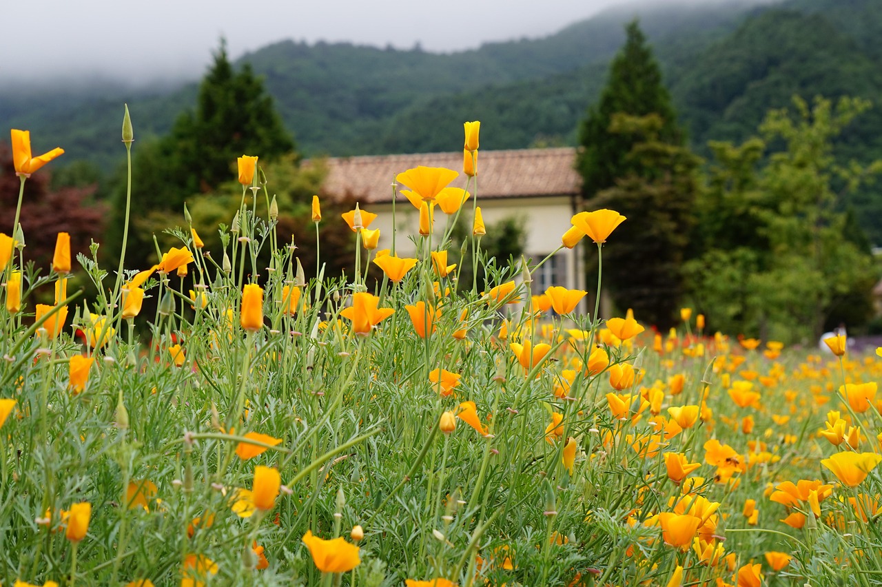 在线DDOS攻击平台|如何防御黑客攻击和恶意软件