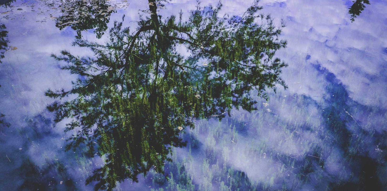 兔子ip实名账号：紫金山新闻app详情下载教程